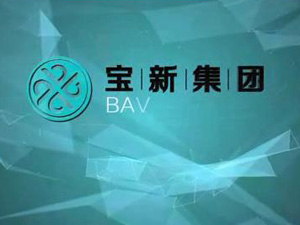 上海寶新集團(tuán)形象片！